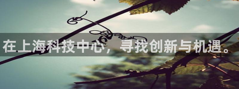 在上海科技中心，寻找创新与机遇。