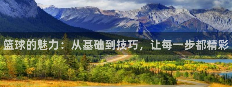 篮球的魅力：从基础到技巧，让每一步都精彩