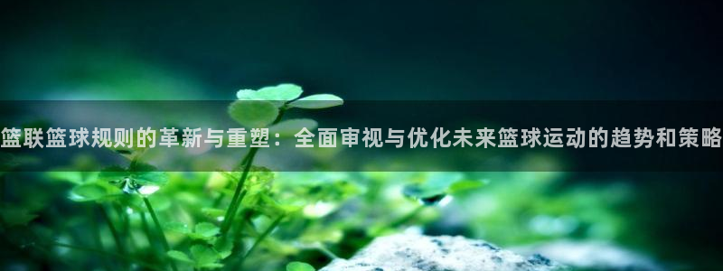 篮联篮球规则的革新与重塑：全面审视与优化未来篮球运动的趋势和策略