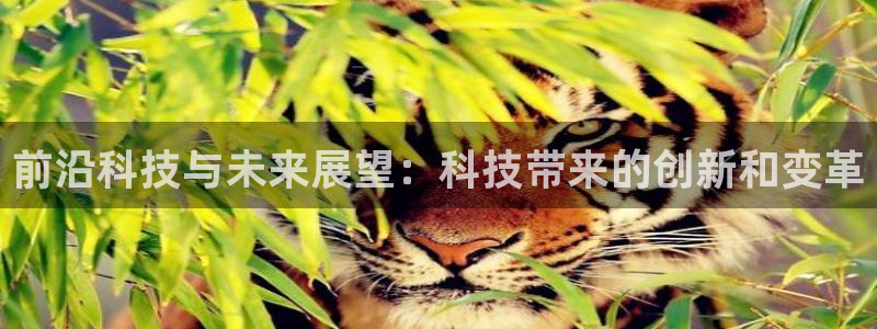 前沿科技与未来展望：科技带来的创新和变革